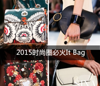 2015时尚圈必火It Bag