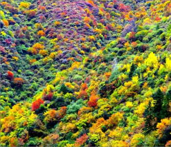 四川的秋天绝对是浑然天成的泼墨山水画