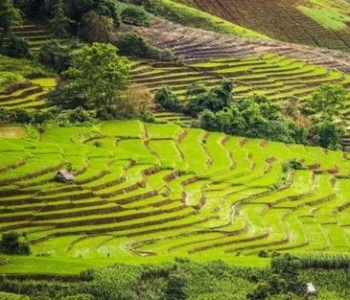 从田间到野奢 一次旅行给你别样泰国风情