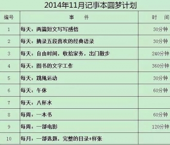 100天完美计划：我就是靠它干掉拖延，改善生活，规划未来的