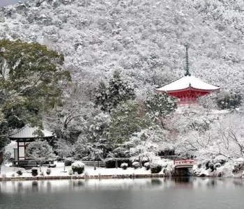 世界太浮躁 去京都的寺院听雨看枫静静心