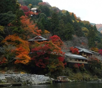6家日本最美的赏枫酒店 睡在秋天的