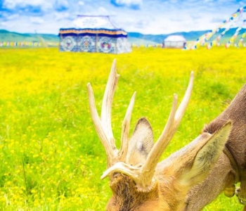 比起奋不顾身的爱情 一场说走就走的旅行更美