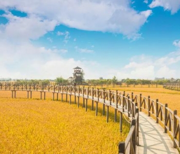 《我和我的家乡》取景地大公开 想不到有这么美