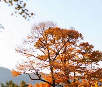 再说宁波是旅游荒漠 我第一个不同意