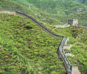 国内就有日本同款花海火车 将迎来最美春天