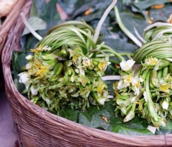 鲜花10块一把 中国最浪漫城市非她莫属